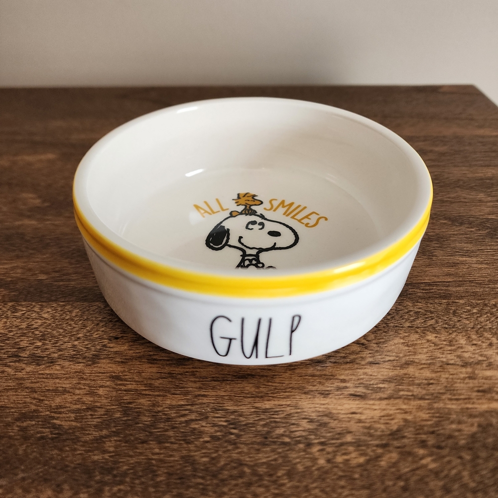 Snoopy Dog Bowl with Yellow Rim